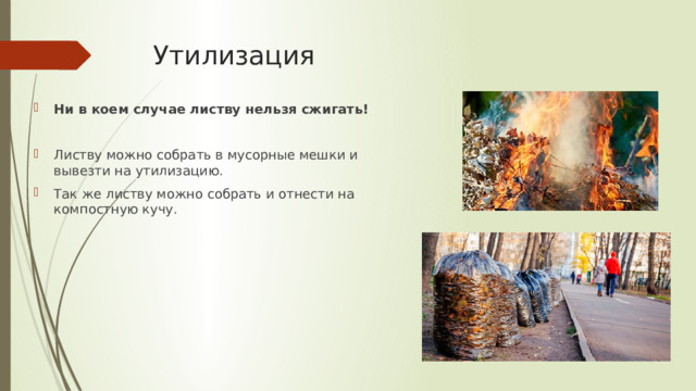 Утилизация Ни в коем случае листву нельзя сжигать! Листву можно собрать в мусорные мешки и вывезти на утилизацию. Так же листву можно собрать и отнести на компостную кучу. 
