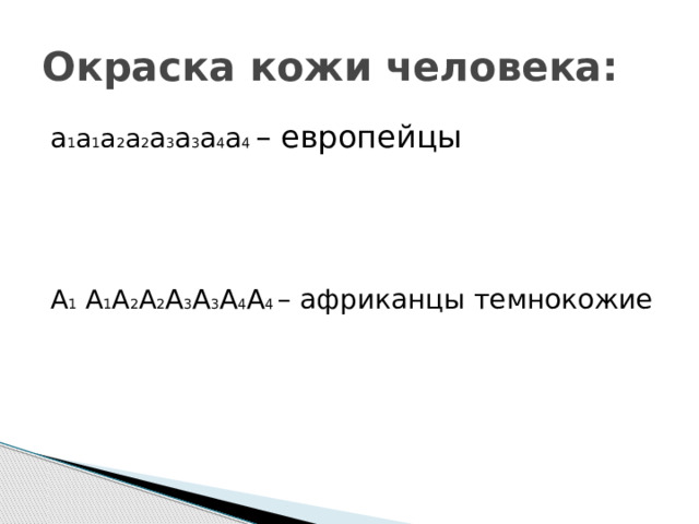 Окраска кожи человека: а 1 а 1 а 2 а 2 а 3 а 3 а 4 а 4 – европейцы А 1 А 1 А 2 А 2 А 3 А 3 А 4 А 4 – африканцы темнокожие 