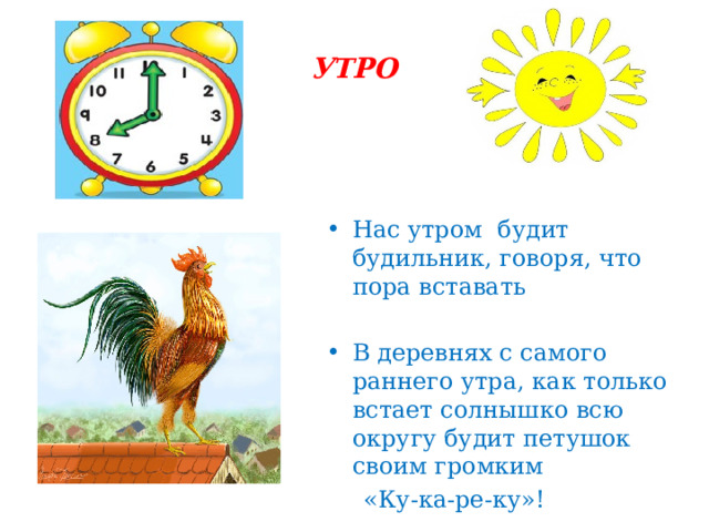 УТРО  Нас утром будит будильник, говоря, что пора вставать В деревнях с самого раннего утра, как только встает солнышко всю округу будит петушок своим громким  «Ку-ка-ре-ку»! 