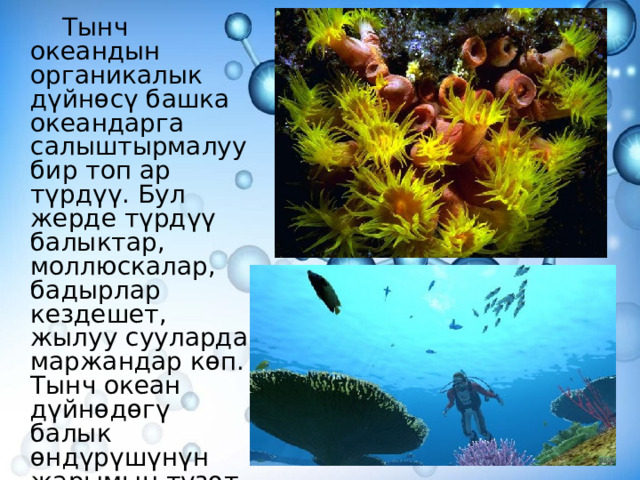   Тынч океандын органикалык дүйнөсү башка океандарга салыштырмалуу бир топ ар түрдүү. Бул жерде түрдүү балыктар, моллюскалар, бадырлар кездешет, жылуу сууларда маржандар көп. Тынч океан дүйнөдөгү балык өндүрүшүнүн жарымын түзөт. 