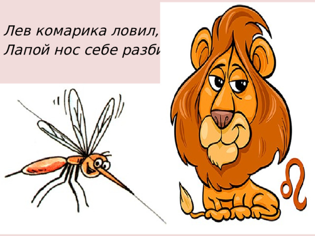  Лев комарика ловил, Лапой нос себе разбил. 