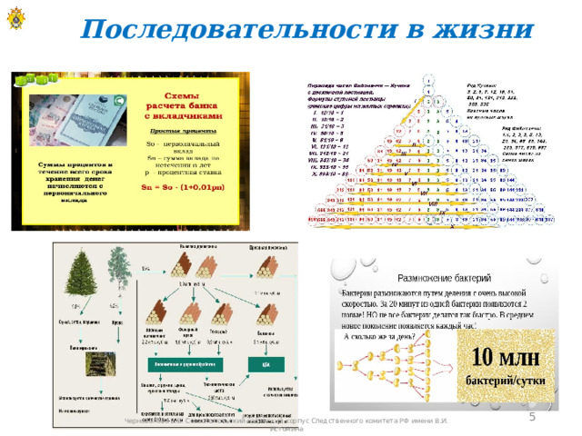 Последовательности в жизни  Черноволова Е.В. Севастопольский кадетский корпус Следственного комитета РФ имени В.И. Истомина 