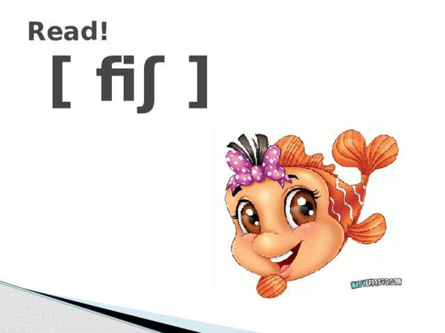 Read!  [ fi ʃ ] 