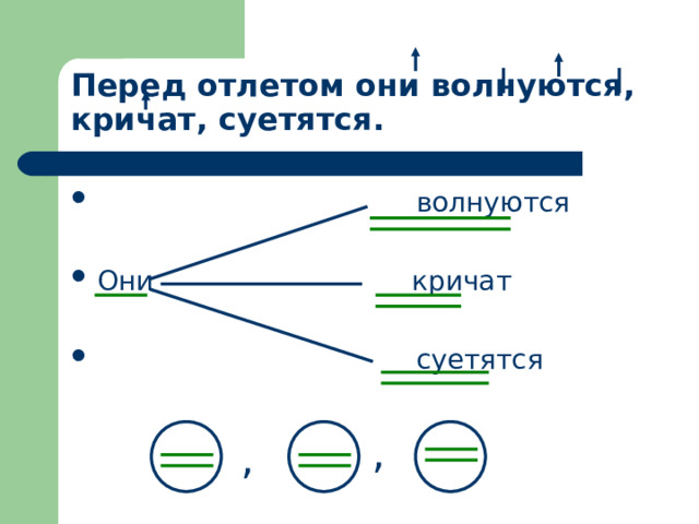 Перед отлетом они волнуются, кричат, суетятся.  волнуются  Они кричат   суетятся , , 