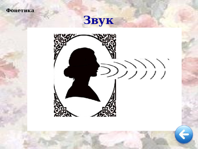 Фонетика Звук 