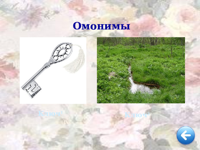 Омонимы  Ключ 1  Ключ 2  