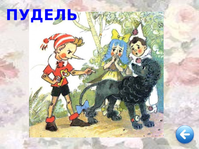 ПУДЕЛЬ 