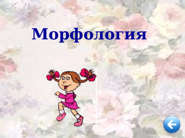 Морфология 