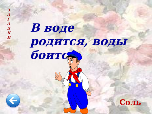  В воде родится, воды боится. З  А  Г  А  Д  К  И Соль 