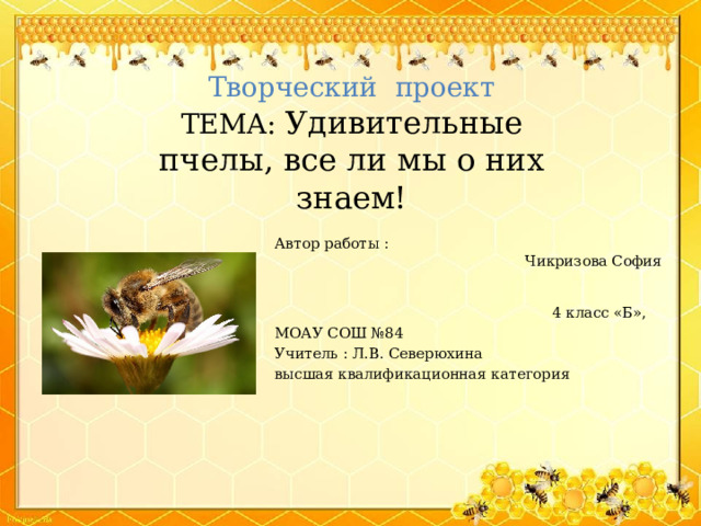 Творческий проект  ТЕМА: Удивительные пчелы, все ли мы о них знаем! Автор работы : Чикризова София 4 класс «Б», МОАУ СОШ №84 Учитель : Л.В. Северюхина высшая квалификационная категория 