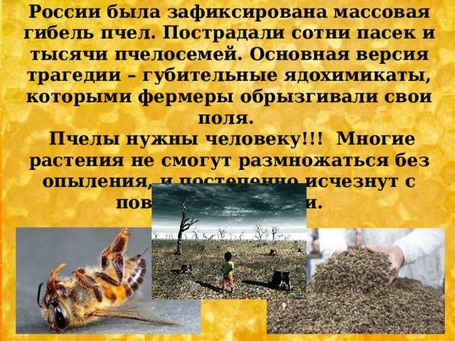 Летом 2019 года в разных регионах России была зафиксирована массовая гибель пчел. Пострадали сотни пасек и тысячи пчелосемей. Основная версия трагедии – губительные ядохимикаты, которыми фермеры обрызгивали свои поля.   Пчелы нужны человеку!!! Многие растения не смогут размножаться без опыления, и постепенно исчезнут с поверхности Земли.   