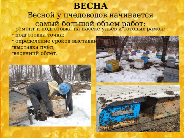 ВЕСНА Весной у пчеловодов начинается самый большой объем работ:   - ремонт и подготовка на пасеке ульев и сотовых рамок;  подготовка точка;  определение сроков выставки пчёл; выставка пчёл; весенний облёт.  