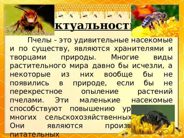 Актуальность  Пчелы - это удивительные насекомые и по существу, являются хранителями и творцами природы. Многие виды растительного мира давно бы исчезли, а некоторые из них вообще бы не появились в природе, если бы не перекрестное опыление растений пчелами. Эти маленькие насекомые способствуют повышению урожайности многих сельскохозяйственных культур. Они являются производителями питательных продуктов, используемых в медицине, в быту и на производстве. 