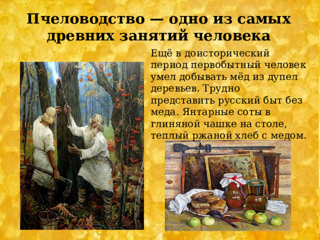 Пчеловодство — одно из самых древних занятий человека Ещё в доисторический период первобытный человек умел добывать мёд из дупел деревьев. Трудно представить русский быт без меда. Янтарные соты в глиняной чашке на столе, теплый ржаной хлеб с медом. 