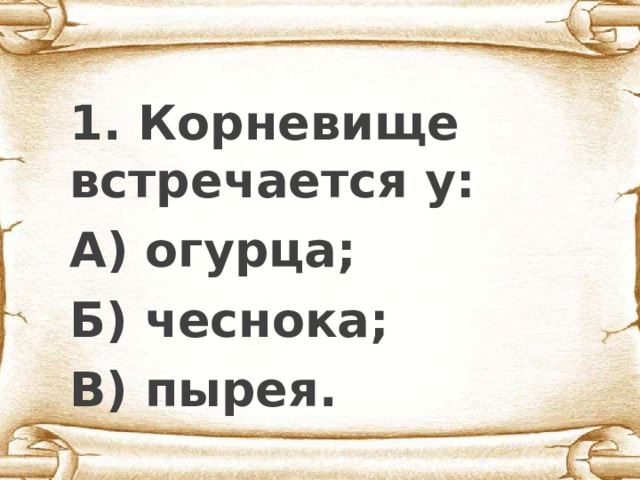  1. Корневище встречается у: А) огурца; Б) чеснока; В) пырея. 