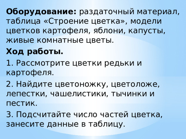 Оборудование:  раздаточный материал, таблица «Строение цветка», модели цветков картофеля, яблони, капусты, живые комнатные цветы. Ход работы. 1. Рассмотрите цветки редьки и картофеля. 2. Найдите цветоножку, цветоложе, лепестки, чашелистики, тычинки и пестик. 3. Подсчитайте число частей цветка, занесите данные в таблицу.  