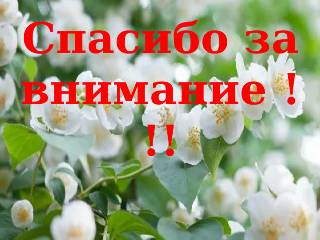Спасибо за внимание !!! 