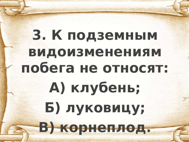  3. К подземным видоизменениям побега не относят: А) клубень; Б) луковицу; В) корнеплод. 