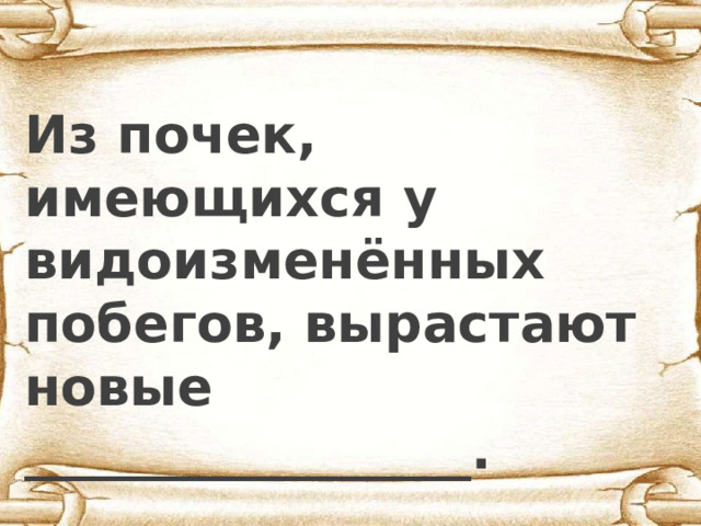  Из почек, имеющихся у видоизменённых побегов, вырастают новые _________________. 