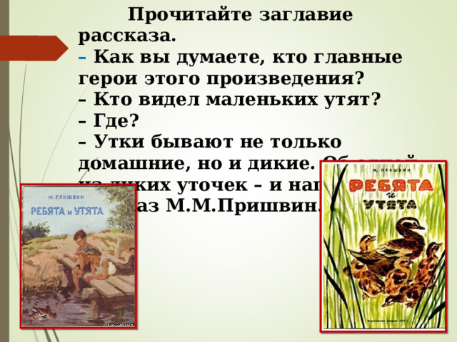  Прочитайте заглавие рассказа. – Как вы думаете, кто главные герои этого произведения? – Кто видел маленьких утят? – Где? – Утки бывают не только домашние, но и дикие. Об одной из диких уточек – и написал свой рассказ М.М.Пришвин. 