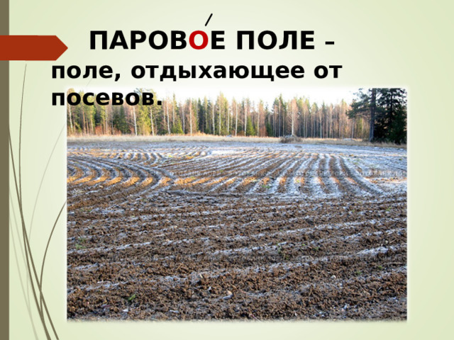 ПАРОВ О Е ПОЛЕ – поле, отдыхающее от посевов. 