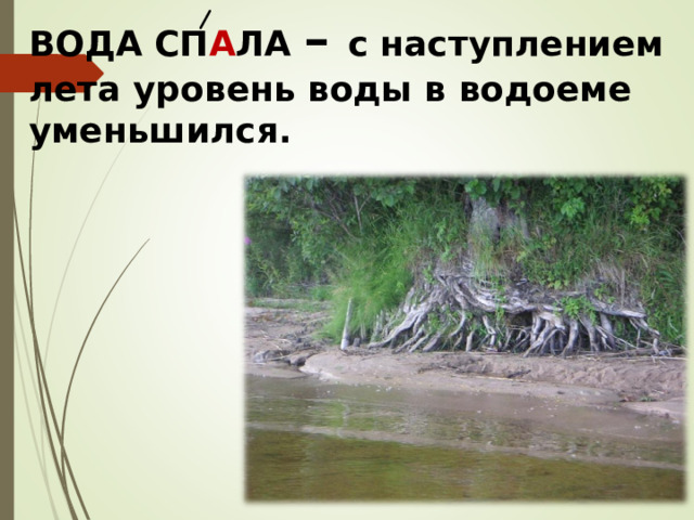 ВОДА СП А ЛА – с наступлением лета уровень воды в водоеме уменьшился.  