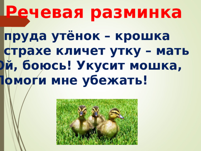 Речевая разминка У пруда утёнок – крошка В страхе кличет утку – мать Ой, боюсь! Укусит мошка, Помоги мне убежать! 