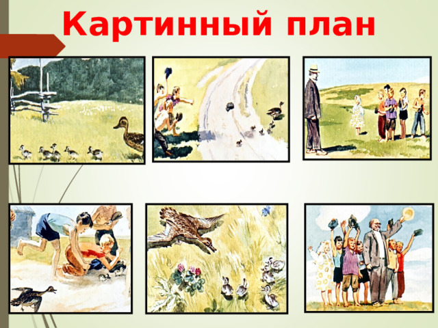 Картинный план 