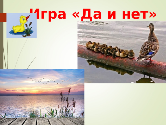 Игра «Да и нет»  