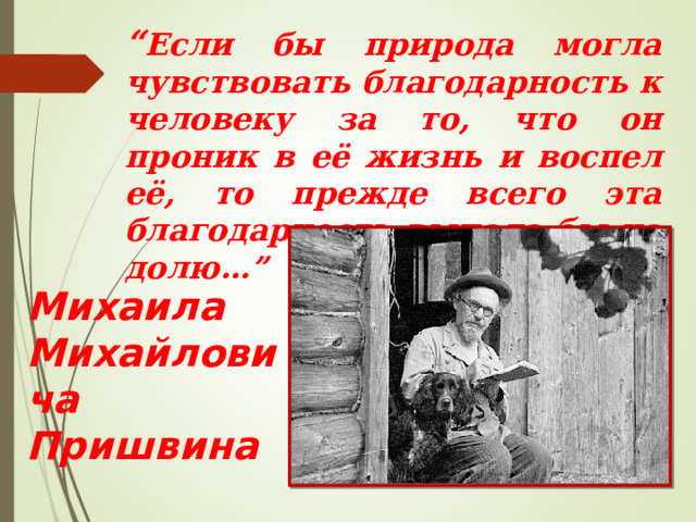 “ Если бы природа могла чувствовать благодарность к человеку за то, что он проник в её жизнь и воспел её, то прежде всего эта благодарность выпала бы на долю…”  К.Паустовский Михаила Михайловича Пришвина 