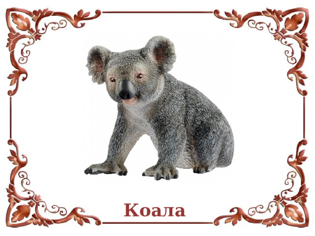 Коала 
