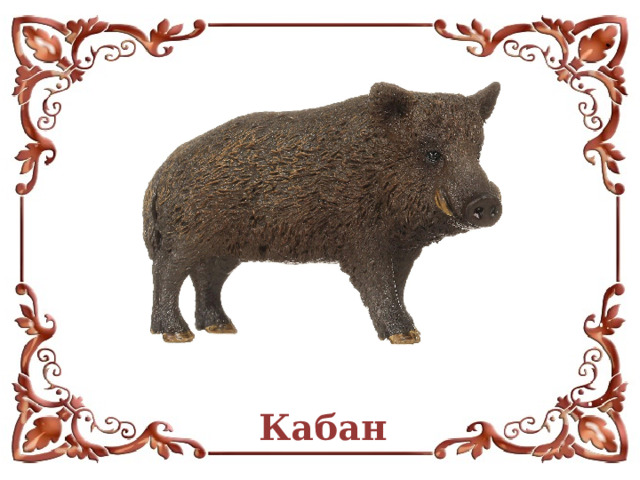 Кабан  
