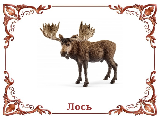 Лось  