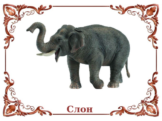 Слон  