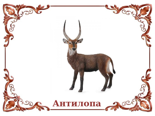 Антилопа  