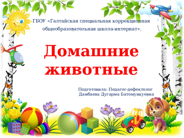 ГБОУ «Галтайская специальная коррекционная общеобразовательная школа-интернат». Домашние животные Подготовила: Педагог-дефектолог Дамбаева Дугарма Батомункуевна 