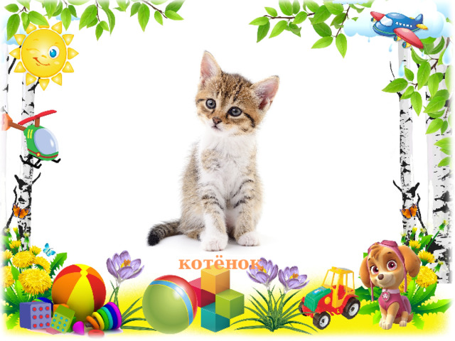 котёнок 