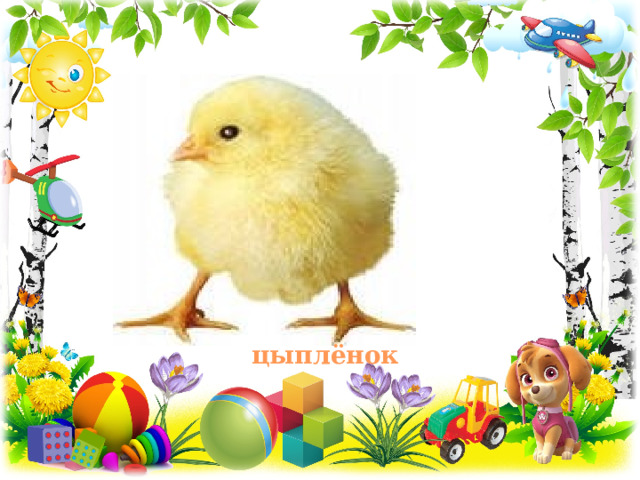 цыплёнок 