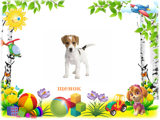 щенок 