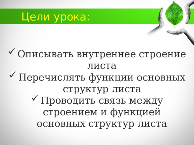 Цели урока: Описывать внутреннее строение листа Перечислять функции основных структур листа Проводить связь между строением и функцией основных структур листа 1 
