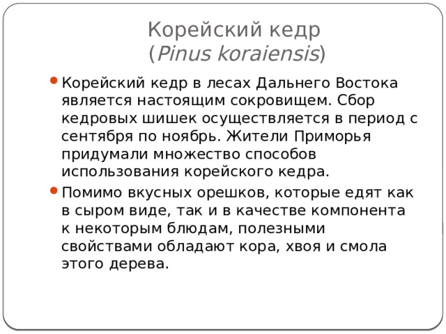 Корейский кедр  ( Pinus koraiensis ) Корейский кедр в лесах Дальнего Востока является настоящим сокровищем. Сбор кедровых шишек осуществляется в период с сентября по ноябрь. Жители Приморья придумали множество способов использования корейского кедра. Помимо вкусных орешков, которые едят как в сыром виде, так и в качестве компонента к некоторым блюдам, полезными свойствами обладают кора, хвоя и смола этого дерева.    