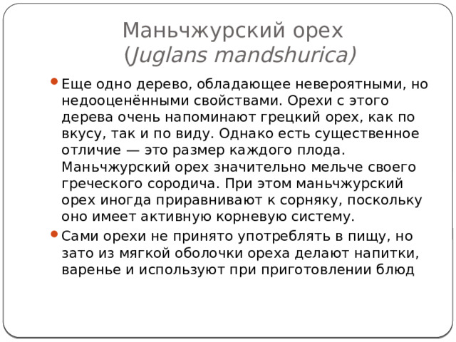 Маньчжурский орех  ( Juglans mandshurica) Еще одно дерево, обладающее невероятными, но недооценёнными свойствами. Орехи с этого дерева очень напоминают грецкий орех, как по вкусу, так и по виду. Однако есть существенное отличие — это размер каждого плода. Маньчжурский орех значительно мельче своего греческого сородича. При этом маньчжурский орех иногда приравнивают к сорняку, поскольку оно имеет активную корневую систему. Сами орехи не принято употреблять в пищу, но зато из мягкой оболочки ореха делают напитки, варенье и используют при приготовлении блюд    