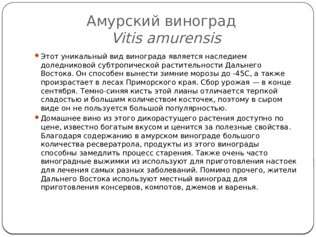 Амурский виноград  Vitis amurensis Этот уникальный вид винограда является наследием доледниковой субтропической растительности Дальнего Востока. Он способен вынести зимние морозы до -45С, а также произрастает в лесах Приморского края. Сбор урожая — в конце сентября. Темно-синяя кисть этой лианы отличается терпкой сладостью и большим количеством косточек, поэтому в сыром виде он не пользуется большой популярностью. Домашнее вино из этого дикорастущего растения доступно по цене, известно богатым вкусом и ценится за полезные свойства. Благодаря содержанию в амурском винограде большого количества ресвератрола, продукты из этого винограды способны замедлить процесс старения. Также очень часто виноградные выжимки из используют для приготовления настоек для лечения самых разных заболеваний. Помимо прочего, жители Дальнего Востока используют местный виноград для приготовления консервов, компотов, джемов и варенья.   
