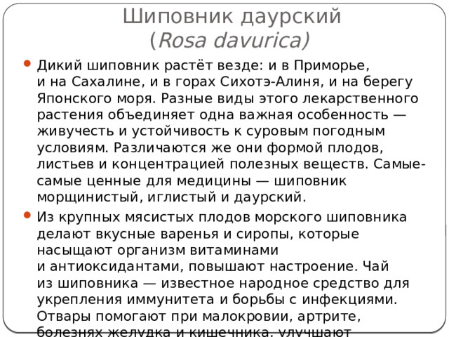 Шиповник даурский  ( Rosa davurica)  Дикий шиповник растёт везде: и в Приморье, и на Сахалине, и в горах Сихотэ-Алиня, и на берегу Японского моря. Разные виды этого лекарственного растения объединяет одна важная особенность — живучесть и устойчивость к суровым погодным условиям. Различаются же они формой плодов, листьев и концентрацией полезных веществ. Самые-самые ценные для медицины — шиповник морщинистый, иглистый и даурский. Из крупных мясистых плодов морского шиповника делают вкусные варенья и сиропы, которые насыщают организм витаминами и антиоксидантами, повышают настроение. Чай из шиповника — известное народное средство для укрепления иммунитета и борьбы с инфекциями. Отвары помогают при малокровии, артрите, болезнях желудка и кишечника, улучшают пищеварение. Плоды можно купить на ярмарках и в магазинах, сиропы — в аптеках. 