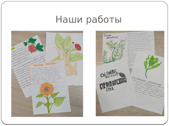  Наши работы 