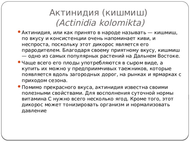 Актинидия (кишмиш)   (Actinidia kolomikta) Актинидия, или как принято в народе называть — кишмиш, по вкусу и консистенции очень напоминает киви, и неспроста, поскольку этот дикорос является его прародителем. Благодаря своему приятному вкусу, кишмиш — одно из самых популярных растений на Дальнем Востоке. Чаще всего его плоды употребляются в сыром виде, а купить их можно у предприимчивых таежников, которые появляется вдоль загородных дорог, на рынках и ярмарках с приходом сезона. Помимо прекрасного вкуса, актинидия известна своими полезными свойствами. Для восполнения суточной нормы витамина С нужно всего несколько ягод. Кроме того, этот дикорос может тонизировать организм и нормализовать давление   