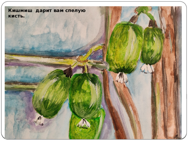 Кишмиш дарит вам спелую кисть.   