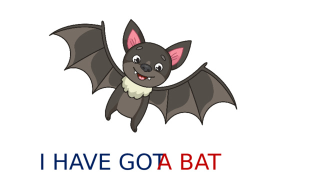 I HAVE GOT A BAT 
