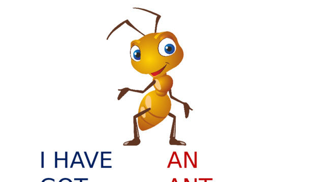 I HAVE GOT AN ANT 