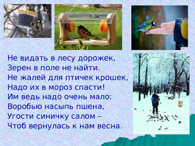 Не видать в лесу дорожек, Зерен в поле не найти. Не жалей для птичек крошек, Надо их в мороз спасти! Им ведь надо очень мало: Воробью насыпь пшена, Угости синичку салом – Чтоб вернулась к нам весна. 